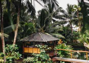 A New Asset Class? Bitcoin’s Bid to Go Mainstream