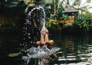 Research Reveals Vital Clues for Discovery of COVID-19 Drugs