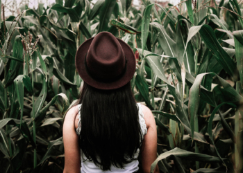 Top Touchless Hand Sanitizer Dispensers For Homes