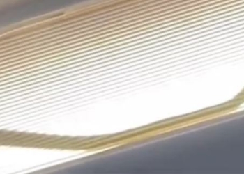 Shfaqet gjarpëri në aeroplan, rrezikohet jeta e pasagjerëve