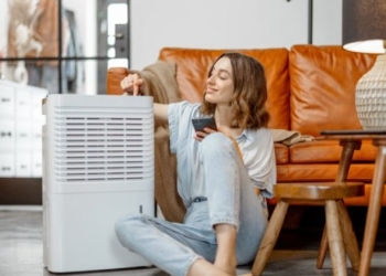 Disa metoda për zgjidhjen e problemit të ajrit të thatë gjatë muajve të dimrit