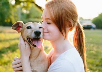 E thotë studimi: Përkëdhelja e një qeni përmirëson aftësitë e të menduarit