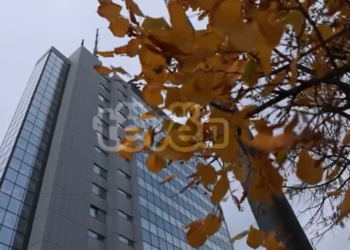 Kosova pa strategji lobimi