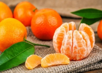 Vlerat ushqyese që i marrim nga portokallet e mandarinat