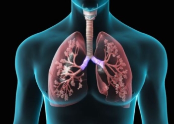 Disa ushqime që ndihmojnë në pastrimin e mushkërive