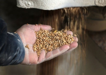 Lufta e Ukrainës ‘katastrofike për ushqimin global’