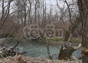 “Trazirat e marsit”, ky është vendi ku humbën jetën tre fëmijët në Çabër