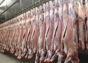 Në këtë vit AUV-i konfiskoi 40 tonë mish