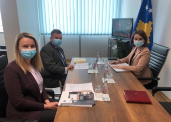 Ministria e Drejtësisë dhe Këshilli i Evropës koordinohen për Strategjinë kundër dhunës në familje