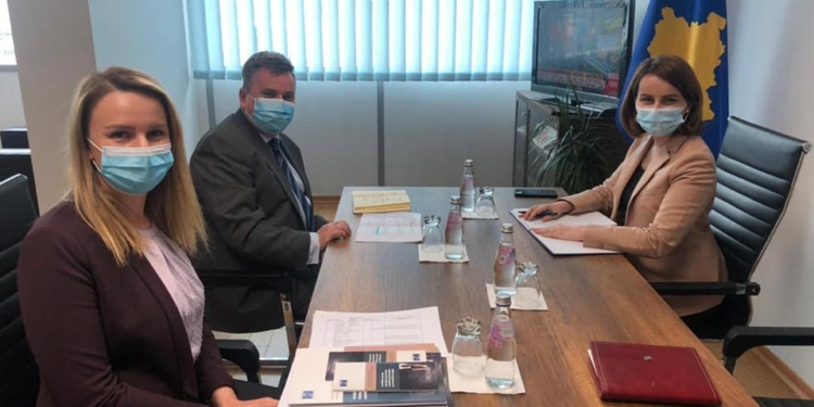 Ministria e Drejtësisë dhe Këshilli i Evropës koordinohen për Strategjinë kundër dhunës në familje