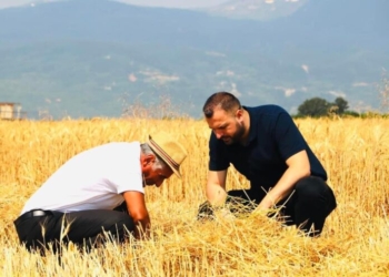 Drejtori i Bujqësisë në Deçan thotë se Kurti ka harruar fermerët