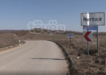 Historia e rezistencës së banorëve të Herticës gjatë Luftës së Dytë Botërore