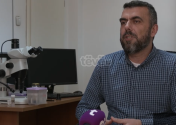 Profesorët e UP-së zbulojnë një insekt, brenda vitit pritet edhe dy të tjerë