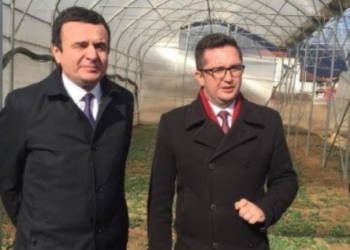 Mustafa ironizon me Kurtin: Vajit çka me i ba boss, ku me qu?