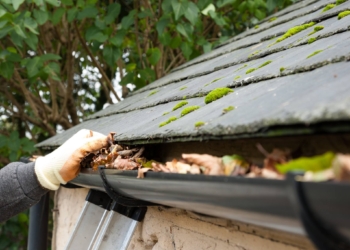 Në Ferizaj vidhen ullukët e një shtëpie