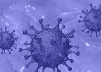 Koronavirusi erdhi nga tregu i Wuhanit dhe jo nga laboratori kinez