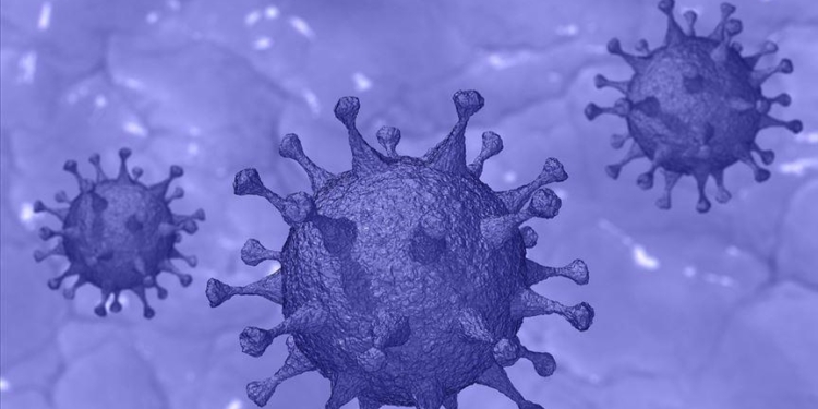 Koronavirusi erdhi nga tregu i Wuhanit dhe jo nga laboratori kinez