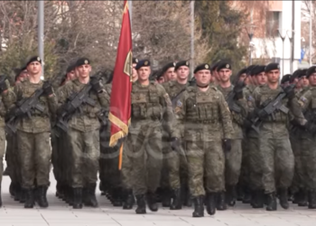 Opozita kërkon nga Qeveria strategji për anëtarësim të shpejtë në NATO