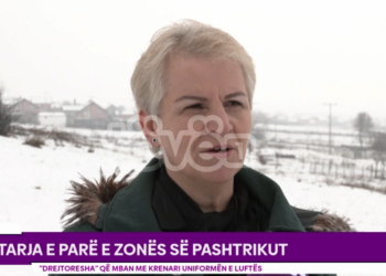 USHTARJA E PARË E ZONËS SË PASHTRIKUT