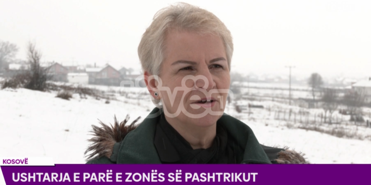 USHTARJA E PARË E ZONËS SË PASHTRIKUT