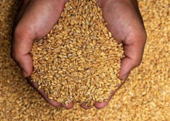 Maqedonia e Veriut vazhdon ndalesën për eksportin e miellit dhe vajit