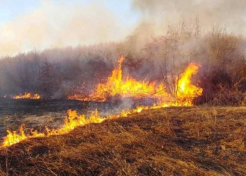 Llapjanit i digjen 10 hektarë tokë
