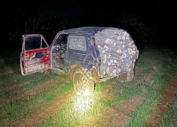 Policia e Kosovës i arreston 20 dhe 21 vjeçarin, dyshohet se prenë pyje ilegalisht