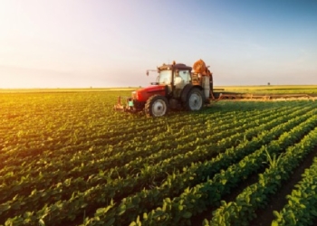 Sot hapet aplikimi për subvencione për kulturat e aktivitetet bujqësore