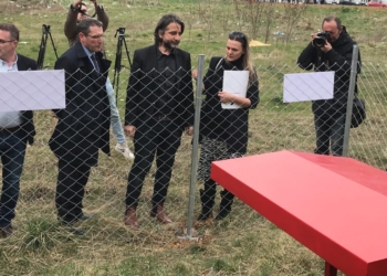 Prishtina me 23 pika ushqyese për qentë endacakë – Rama: Trajtimi i tyre është prioriteti im