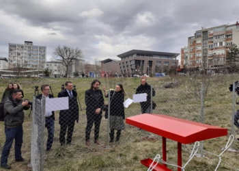 Rama: Problemi i qenve endacak nuk mund të zgjidhet vetëm nga Komuna e Prishtinës