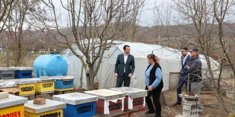 Peci: Këtë vit një koshere e bletëve do të subvencionohet me 20 euro