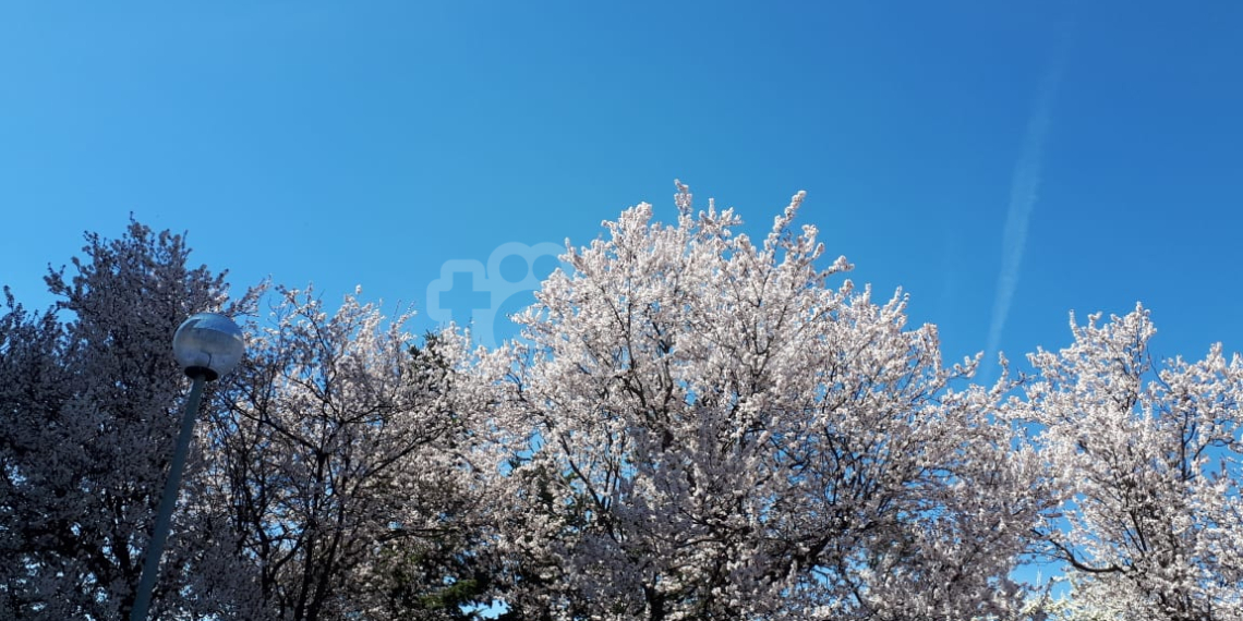 Gjatë javës së ardhshme do të ketë ngritje të temperaturave