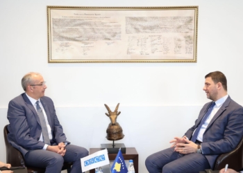 Krasniqi takon Davenport: PDK do ta mbështesë reformën zgjedhore në Kosovë