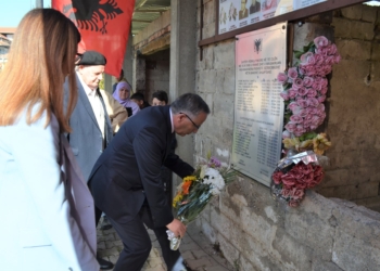 Bedri Hamza bën homazhe para pllakës përkujtimore në Mitrovicë