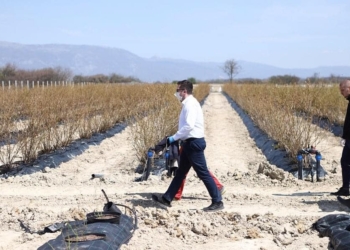 Mustafa pyet Qeverinë Kurti: Kur do të hapet thirrja për aplikim për bujqit që u premtua në fund të marsit