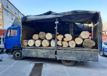 Arrestohen dy persona për vjedhje të pyjeve në Kaçanik