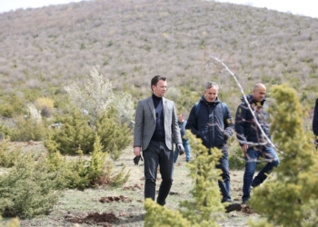 Ministri ​Peci: Mbollëm mbi 773 mijë fidane në të gjithë vendin