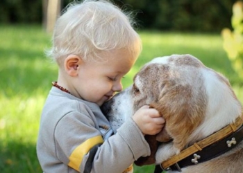 Tymi i cigares rrezik edhe për kafshët shtëpiake