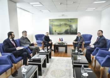 ​Kurti fton mërgatën që bashkë me partnerët e tyre ndërkombëtarë të investojnë në Kosovë