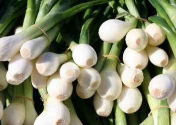 ​5 arsye të shkëlqyera pse duhet të hani qepë të pranverës çdo ditë