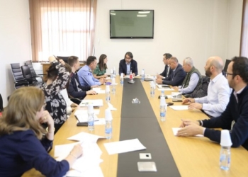 Themelohet grupi punues për trajtimin e qenve endacakë në Prishtinë