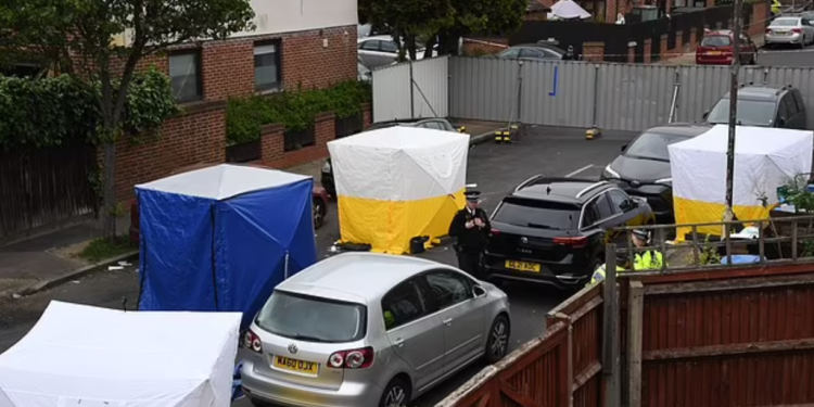 Katër persona u gjetën të vrarë me thikë në Londër