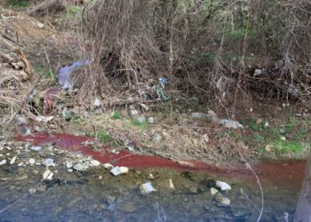 Ndotën lumenjtë me gjak, gjoba deri në 700 euro ndaj thertoreve në Gjilan