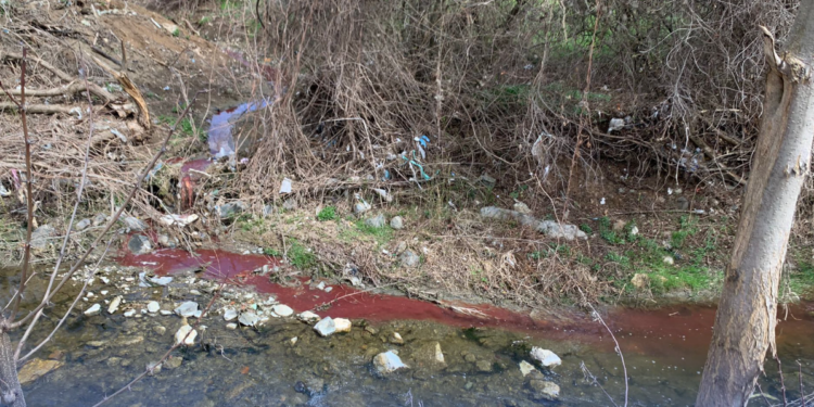 Ndotën lumenjtë me gjak, gjoba deri në 700 euro ndaj thertoreve në Gjilan