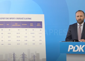 Tahiri: Nuk dimë si janë shpenzuar 100 milion euro  që qeveria i ka ndarë për subvencionimin e tarifave të energjisë elektrike
