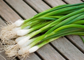 Cilët persona duhet të bëjnë kujdes me përdorimin e qepëve të njoma