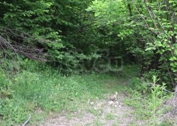 Gjykimi i Naser Pajazitaj, Trupi Gjykues do të dalë në vendin e ngjarjes