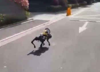 Në Kinë lëshohen qenë robotë në rrugë për të mbajtur nën kontroll koronavirusin