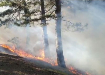 Përfshihet një pjesë e malit nga zjarri në Rahovec