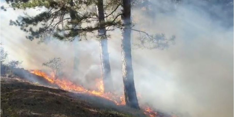 Përfshihet një pjesë e malit nga zjarri në Rahovec